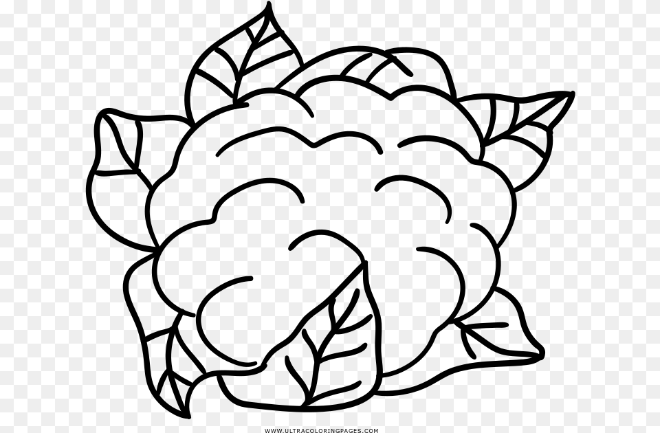 Cauliflower Drawing Coloring Cauliflower Line Art, Gray Free Png Download