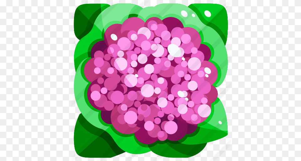 Cauliflower Food Icons Clip Art, Purple, Plant, Dahlia, Flower Free Png
