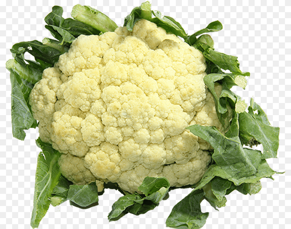 Cauliflower Gobi, Food, Plant, Produce, Vegetable Png