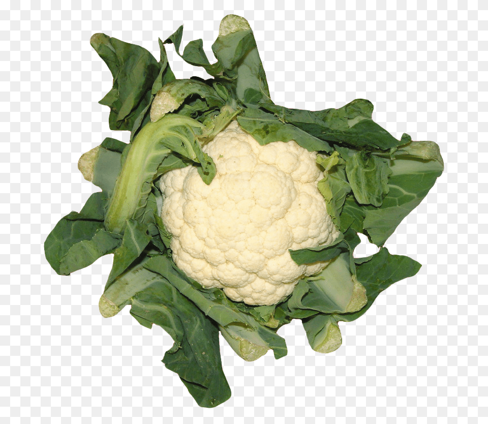 Cauliflower Image, Food, Plant, Produce, Vegetable Free Transparent Png