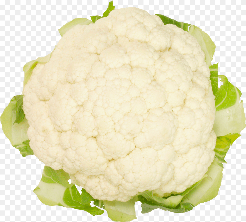 Cauliflower Image Without Cauliflower Free Png