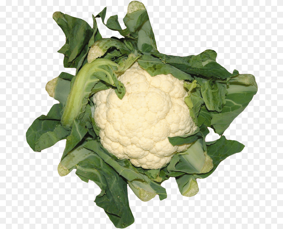 Cauliflower In High Resolution Cauliflower, Food, Plant, Produce, Vegetable Free Png Download