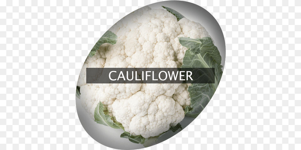 Cauliflower Indigrowcom Cauliflower, Food, Plant, Produce, Vegetable Png Image