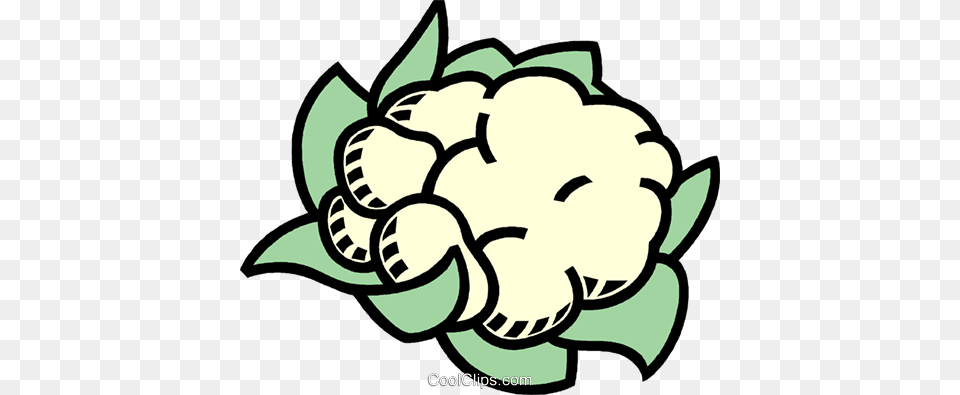 Cauliflower Royalty Free Vector Clip Art Illustration, Vegetable, Food, Produce, Plant Png Image