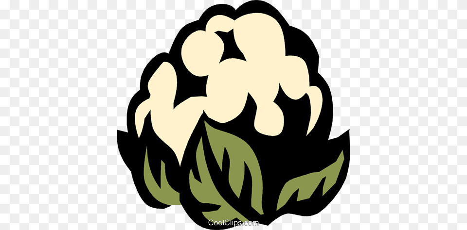 Cauliflower Royalty Vector Clip Art Illustration, Food, Produce, Baby, Person Png