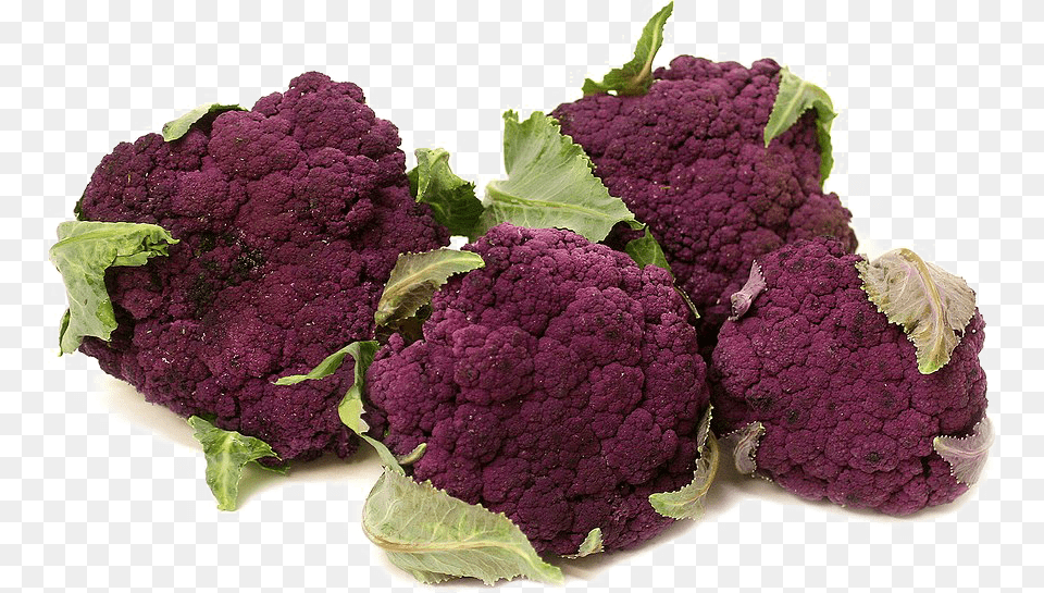 Cauliflower Transparent Background Purple Cauliflower, Food, Plant, Produce, Vegetable Free Png