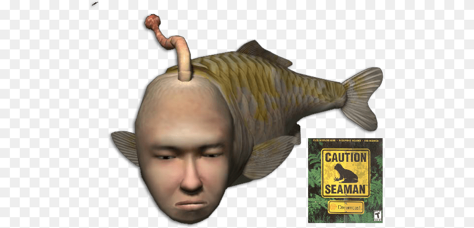 Caution Seaman Dreamcast Sega Video Game Fish, Animal, Carp, Sea Life, Baby Free Transparent Png