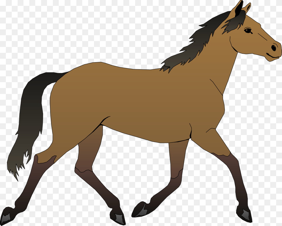 Cavalo Brown Garanho Pura Gua Equino Trote Horse Clipart, Animal, Colt Horse, Mammal Free Png Download