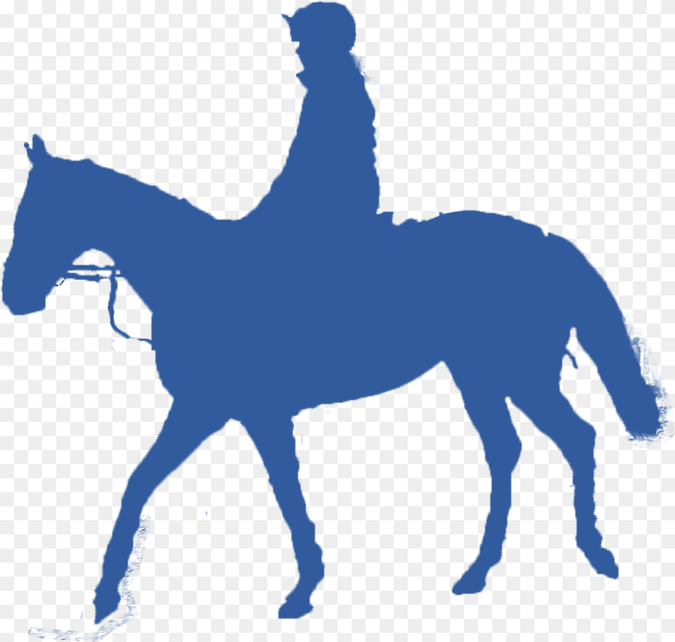 Cavalo Cavalgada, Animal, Horse, Mammal, Person Free Png Download