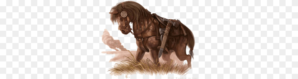 Cavalo De Guerra Pesado Photo Cavalodeguerrapesado Dampd Rogue, Adult, Male, Man, Person Free Png