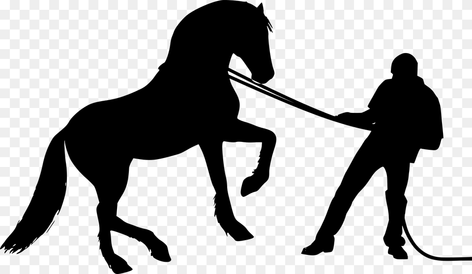 Cavalo Homem Selvagem Silhueta Animal Horse Trainer Silhouette, Gray Png Image