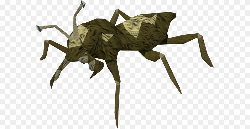Cave Bugs Runescape, Animal, Cricket Insect, Insect, Invertebrate Free Png Download