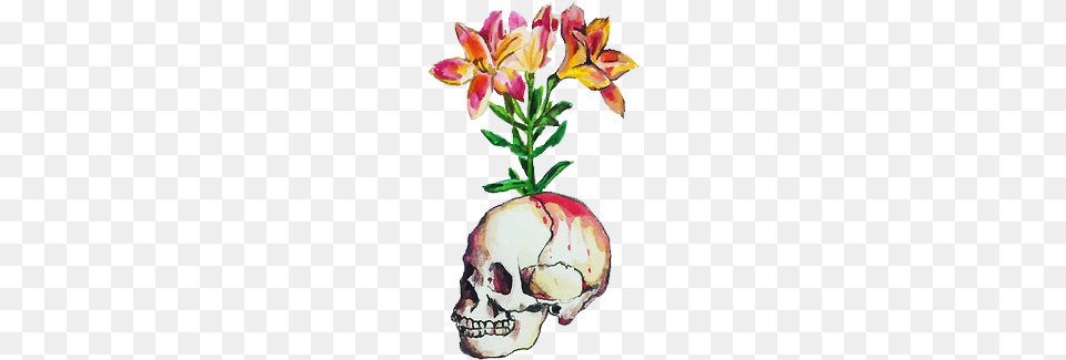 Caveira Flores Skull Art, Flower, Flower Arrangement, Petal, Plant Png Image