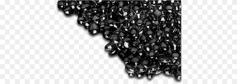Caviar Dot, Bean, Food, Plant, Produce Free Transparent Png