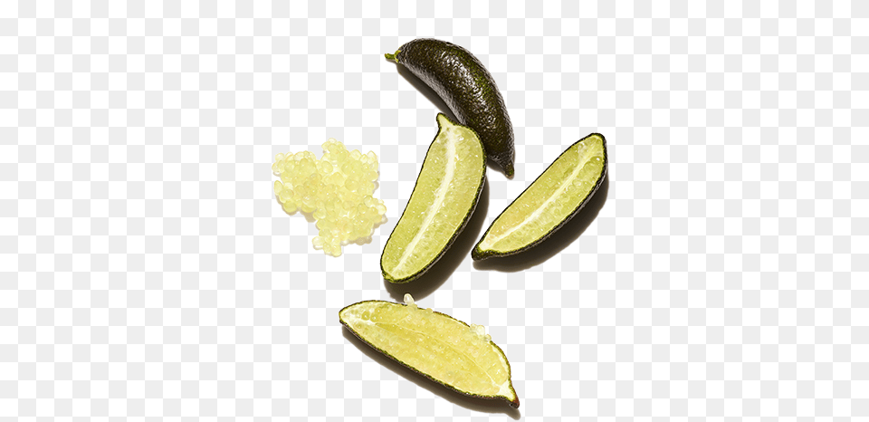 Caviar Lime Caviar Lime Extract, Citrus Fruit, Food, Fruit, Plant Png Image