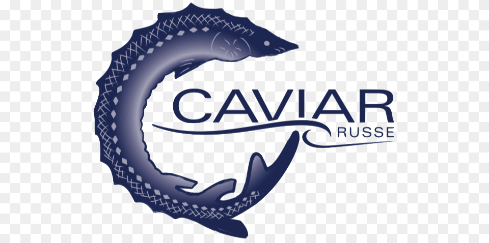 Caviar Logos, Animal, Fish, Sea Life, Shark Png