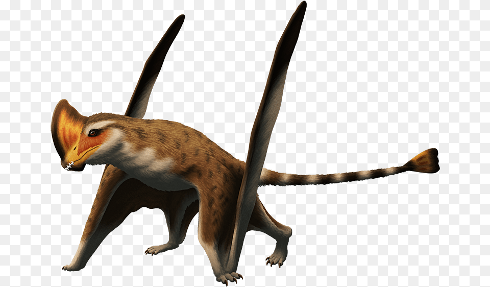 Caviramus Schesaplanensis A Pterosaur From The Late Caviramus, Animal, Bird, Mammal, Wildlife Free Png