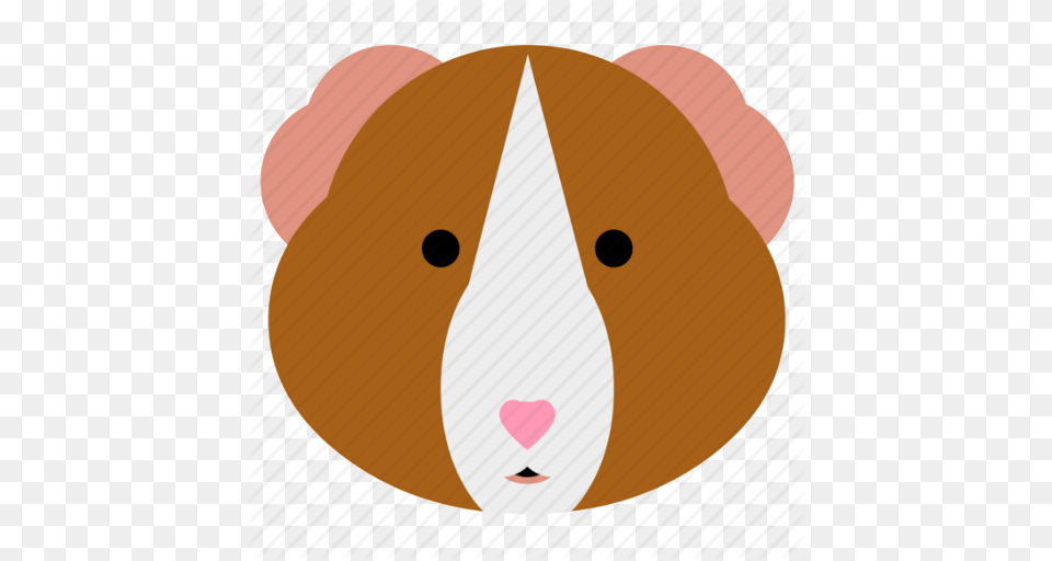 Cavy Face Guinea Guinea Pig Hamster Pet Pig Icon, Snout, Food, Ping Pong, Ping Pong Paddle Free Transparent Png