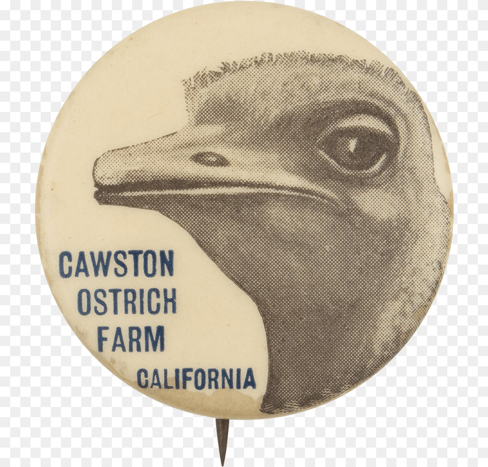 Cawston Ostrich Farm Event Button Museum Bald Eagle, Badge, Logo, Symbol, Person Free Png Download