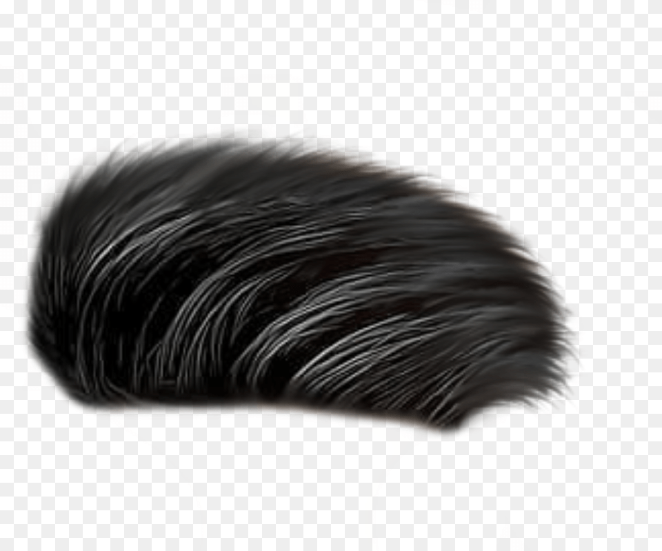 Cb All Hair, Brush, Device, Tool Free Transparent Png