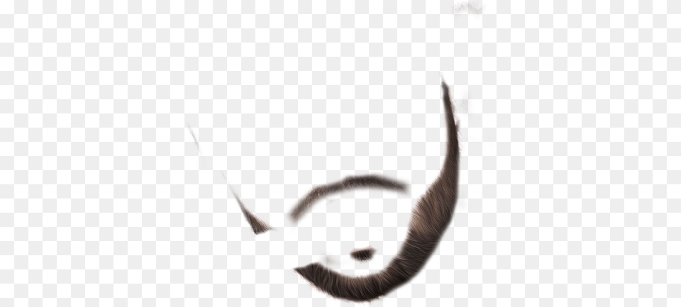 Cb Calligraphy, Face, Head, Person, Animal Png Image