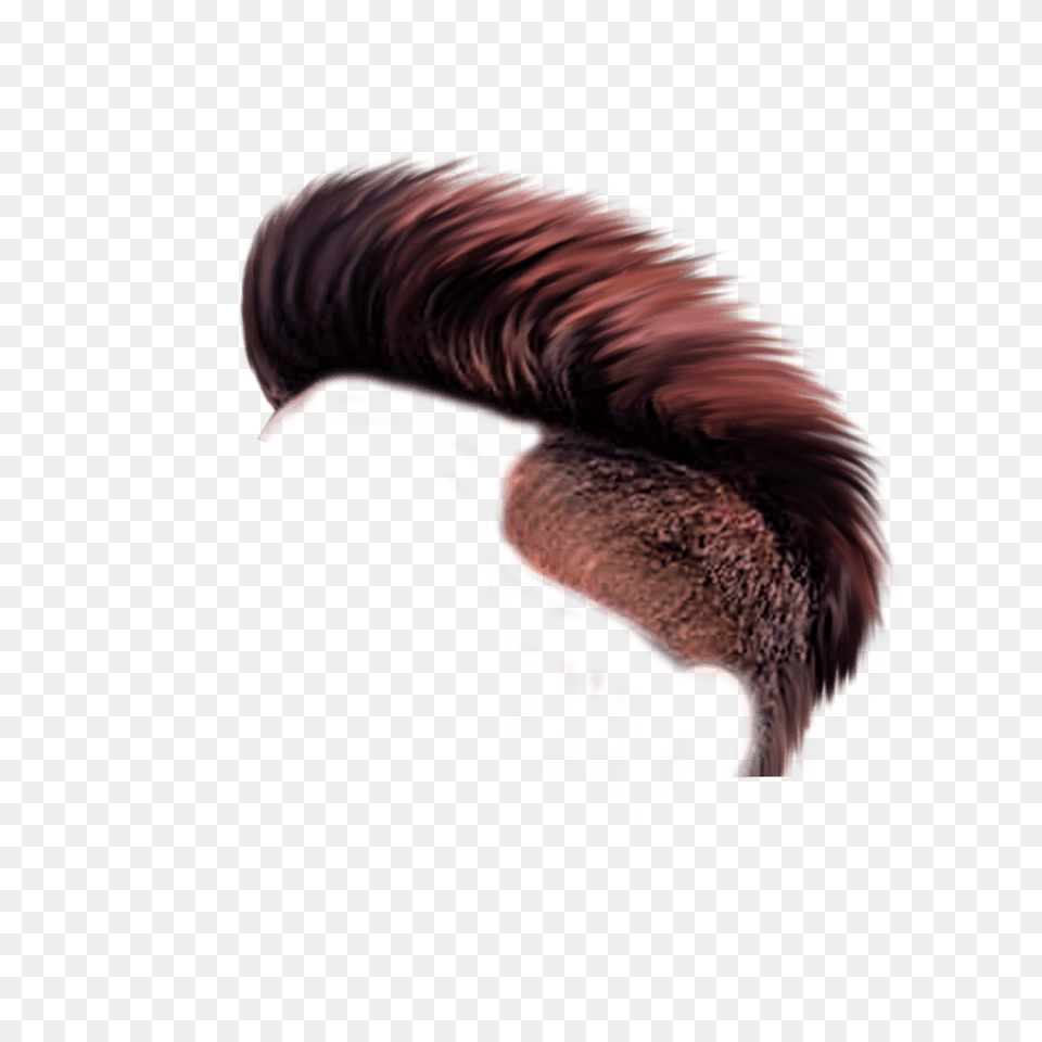 Cb Edit Hair Apk Stylish Picsart Hair, Mohawk Hairstyle, Person, Animal, Bird Png Image