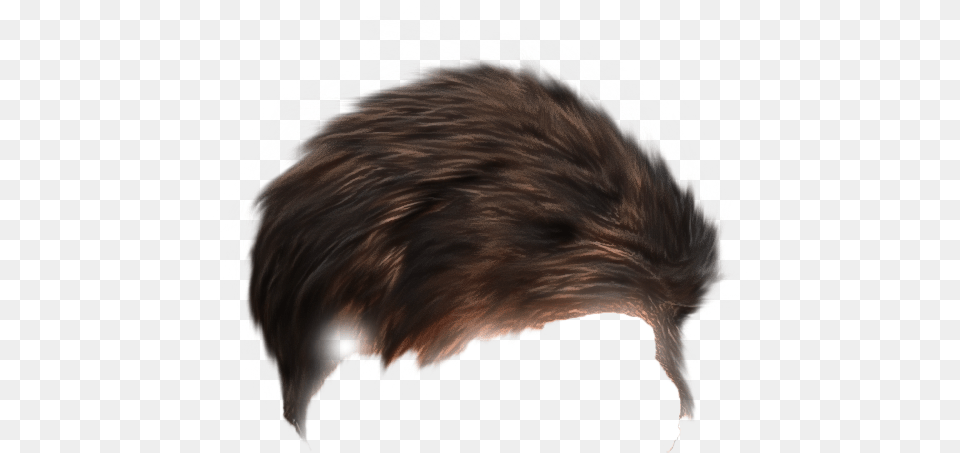 Cb Hair For Picsart Hair, Animal, Bird, Kiwi Bird, Canine Free Png