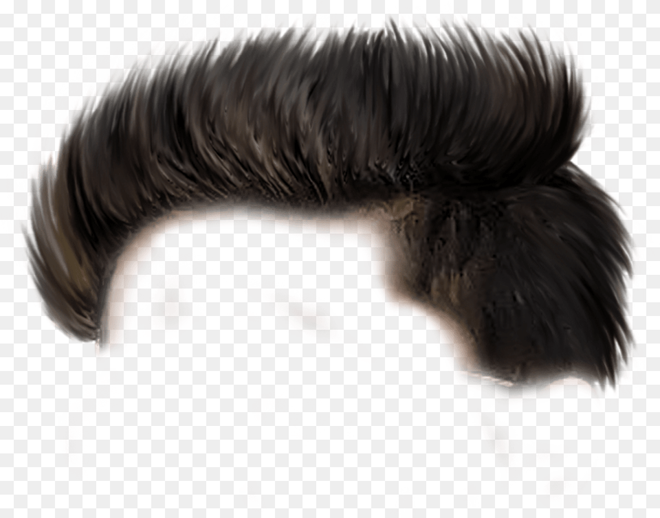 Cb Hair For Picsart Boys Hair Boy Hair For Picsart, Person, Face, Head Free Transparent Png