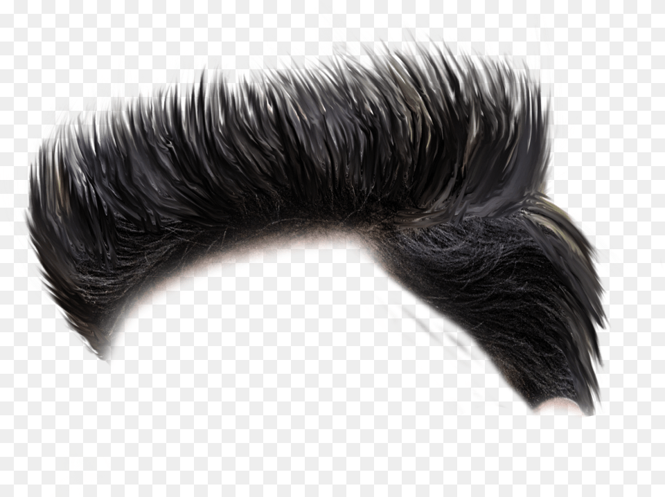 Cb Hair Hd Download Men Free Transparent Png