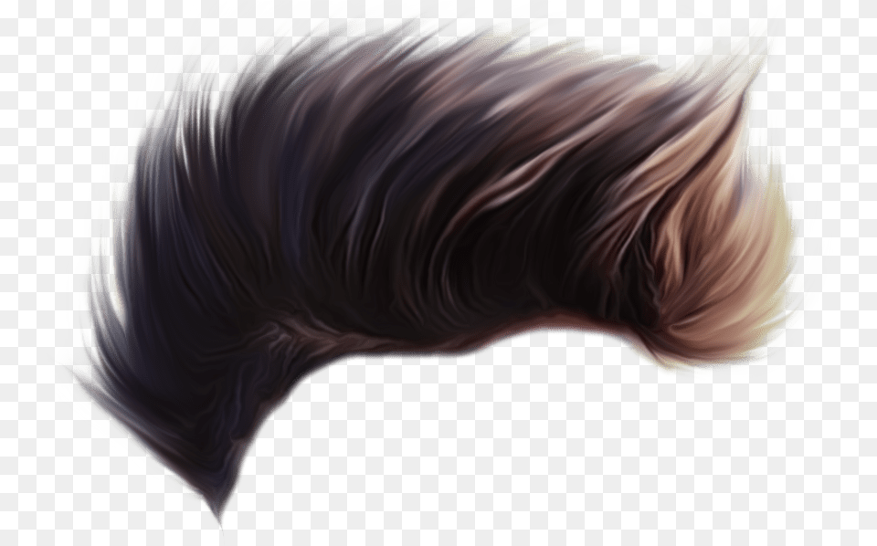 Cb Hair Hd Hair Boy Hd, Adult, Female, Person, Woman Png Image