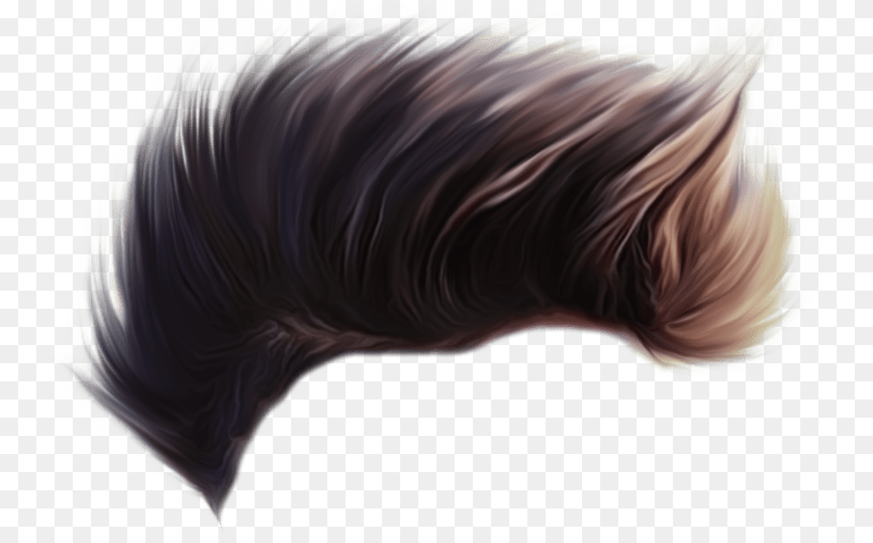 Cb Hair Hd Hair Images Hd Boy, Adult, Female, Person, Woman Png