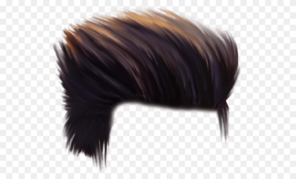 Cb Hairstyle Download Zip Picsart Hair Full Hd, Animal, Hog, Mammal, Pig Free Transparent Png