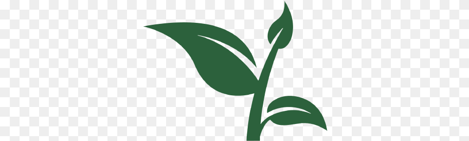 Cb Vertical, Leaf, Plant, Green, Person Png
