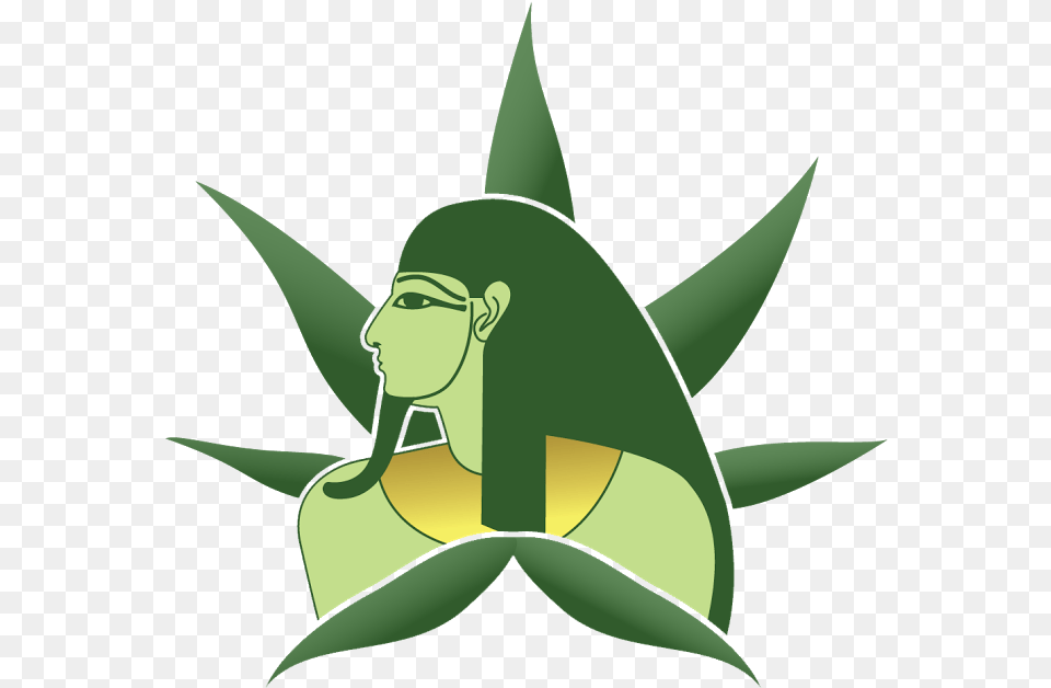 Cbd Capsules Cartoon, Green, Art, Face, Head Png Image