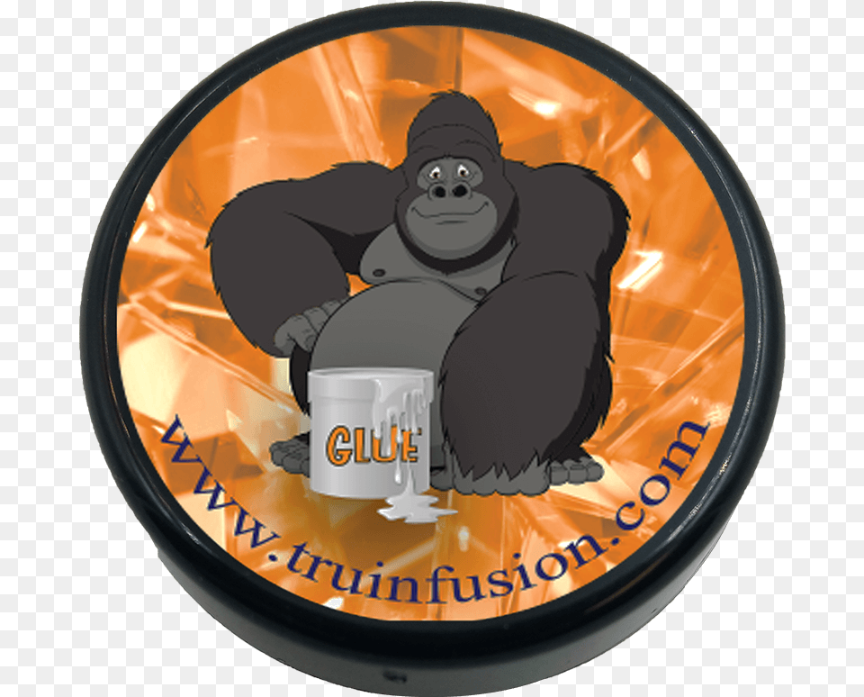 Cbd Gorilla Glue Shatter Western Lowland Gorilla, Animal, Ape, Mammal, Wildlife Free Transparent Png