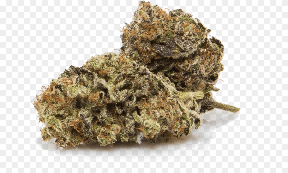 Cbd Strains For Sale, Weed, Mineral, Moss, Plant Png Image
