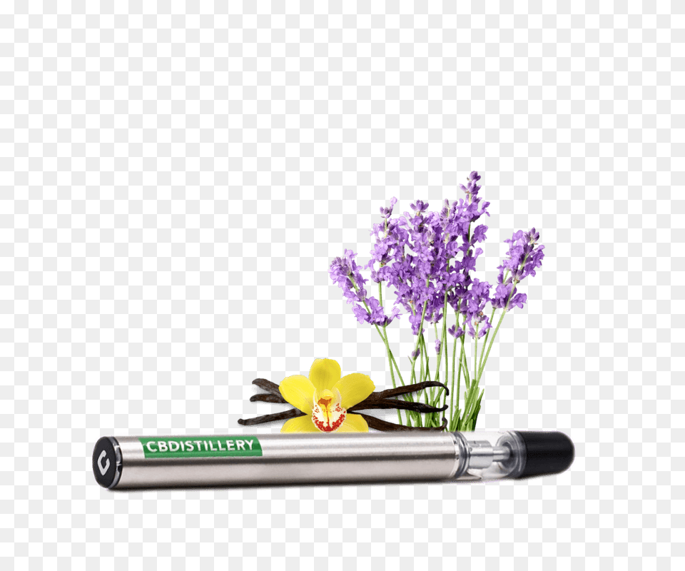 Cbd Vape Pen, Flower, Flower Arrangement, Plant, Ikebana Free Png