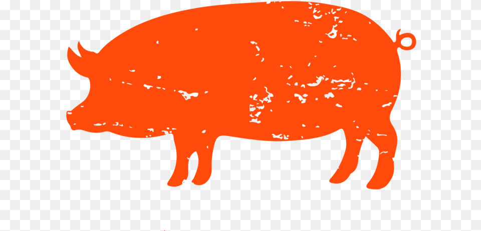 Cbicons 05 Domestic Pig, Animal, Boar, Hog, Mammal Png Image
