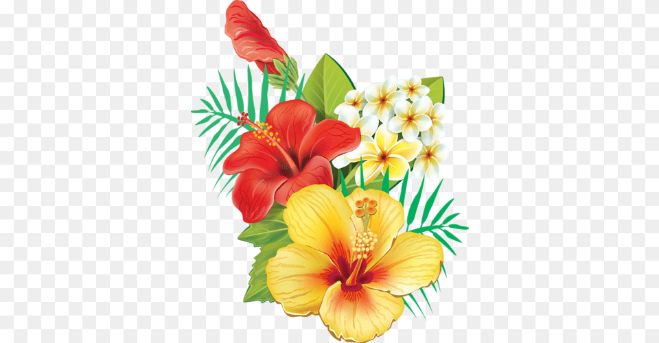 Cc5d0 25b8a0b Xxxl Transparent Tropical Flowers, Flower, Plant, Flower Arrangement, Flower Bouquet Free Png Download