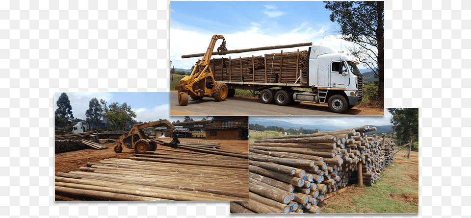 Cca Pole Supplier Lumber, Transportation, Truck, Vehicle, Wood Free Png Download