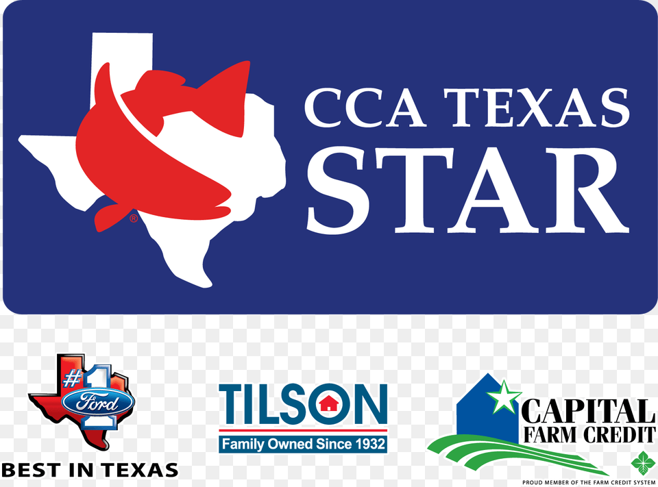 Cca Star Tournament Logo, License Plate, Transportation, Vehicle, Animal Free Png Download