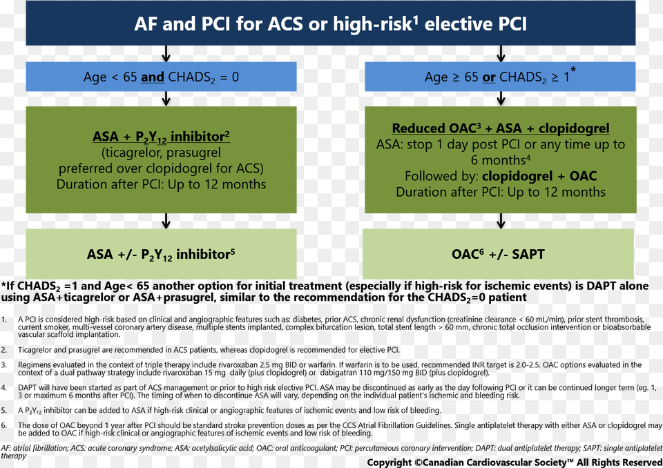 Ccs Acute Coronary Syndrome, Text, Page Free Transparent Png