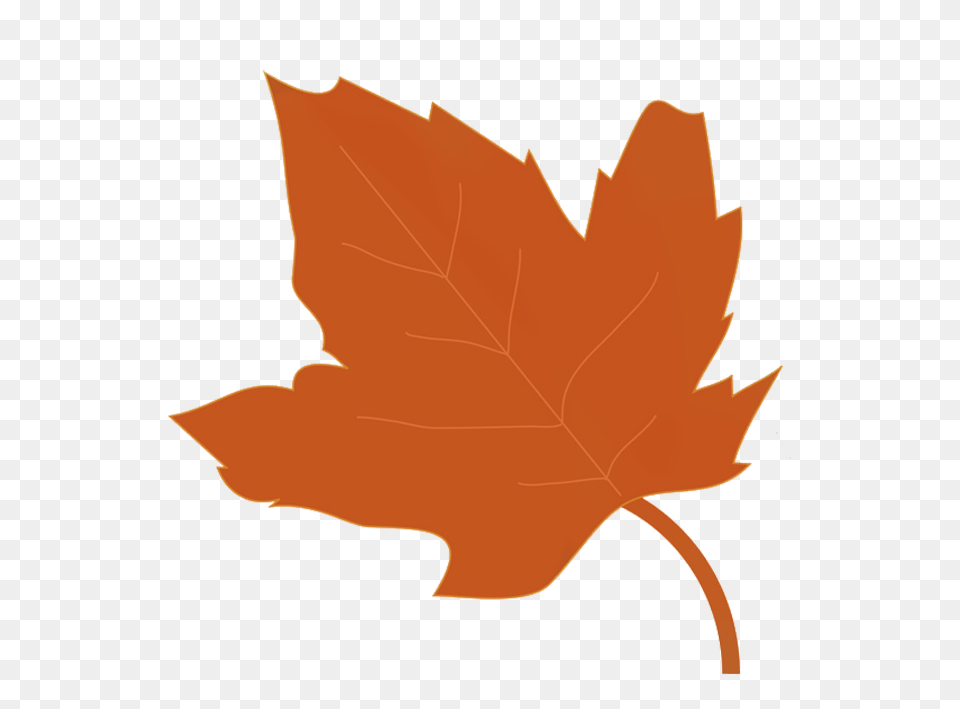 Ccw Fall Festival St John The Evangelist Catholic Parish, Leaf, Maple Leaf, Plant, Tree Png