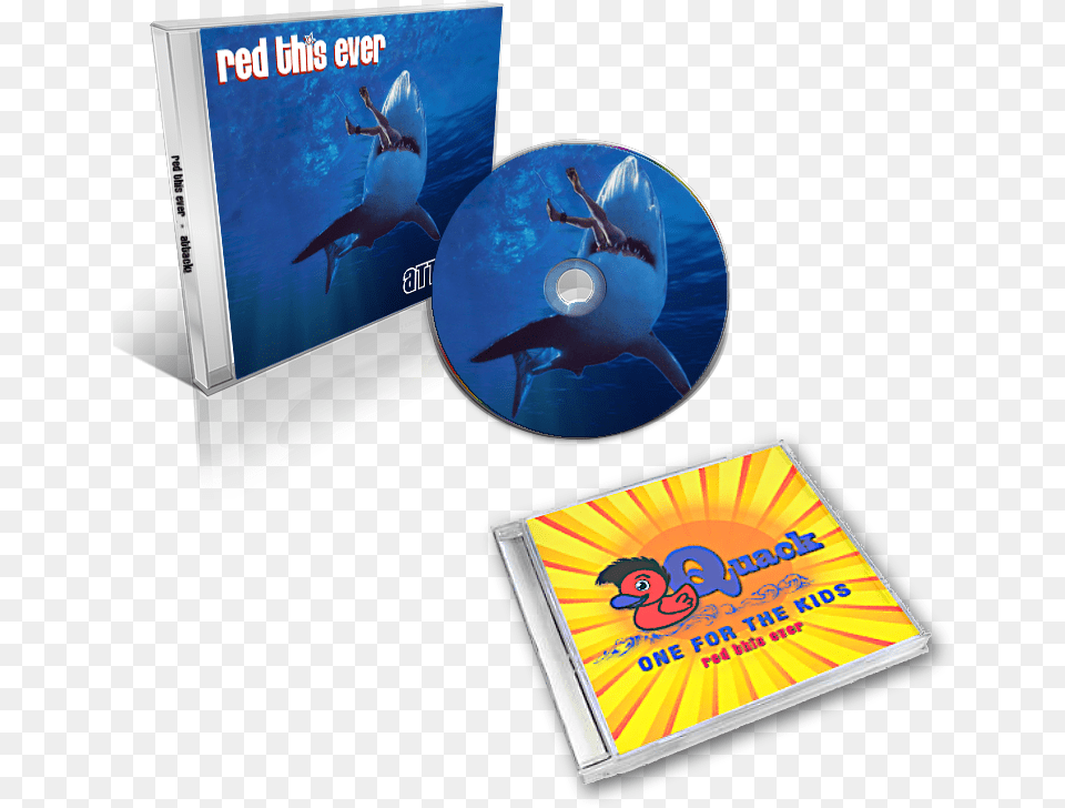 Cd, Disk, Dvd, Adult, Shark Png Image