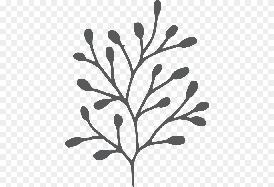Cd Kakadu Plum Twig, Art, Stencil, Leaf, Plant Free Png