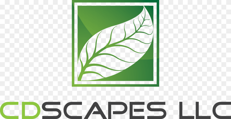 Cd Scapes Llc Logo, Green, Leaf, Plant, Vegetation Png