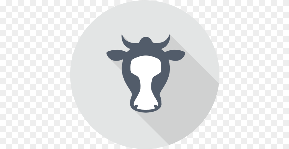 Cdfa Calcannabis Payment Options Green Cow, Animal, Mammal, Livestock, Cattle Png Image