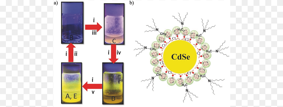 Cdse Quantum Dots, Jar Free Png Download