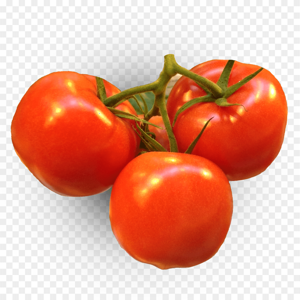 Cea Tomato1 Plum Tomato, Food, Plant, Produce, Vegetable Free Png