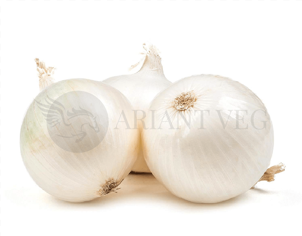 Cebolla Blanca Y Roja, Food, Produce, Onion, Plant Free Png Download